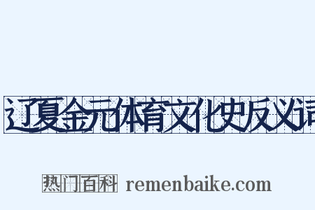 辽夏金元体育文化史反义词是什么意思的图片